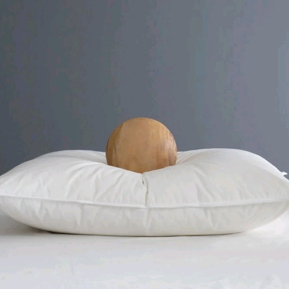 NWOT- Quince Standard White Duck Down Premium Pillow (Medium)(P34)